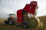 hesston-massey-2956-round-baler-1