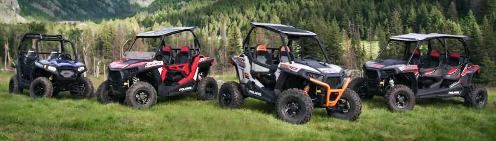 Polaris RZR 2019